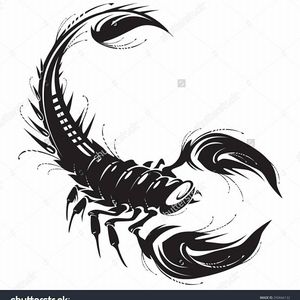 Meet your Posher, Gary